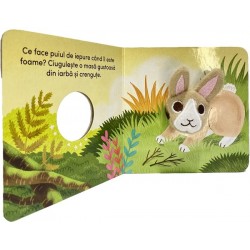 Carte cu papusa de deget: Iepure - Yu Hsuan Huang