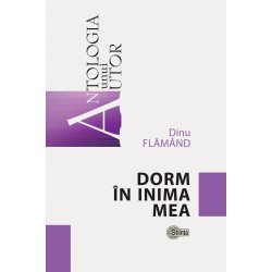 Dorm in inima mea - Dinu Flamand