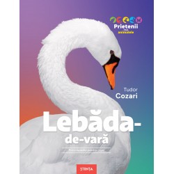 Lebada-de-vara – Enciclopedie pentru copii